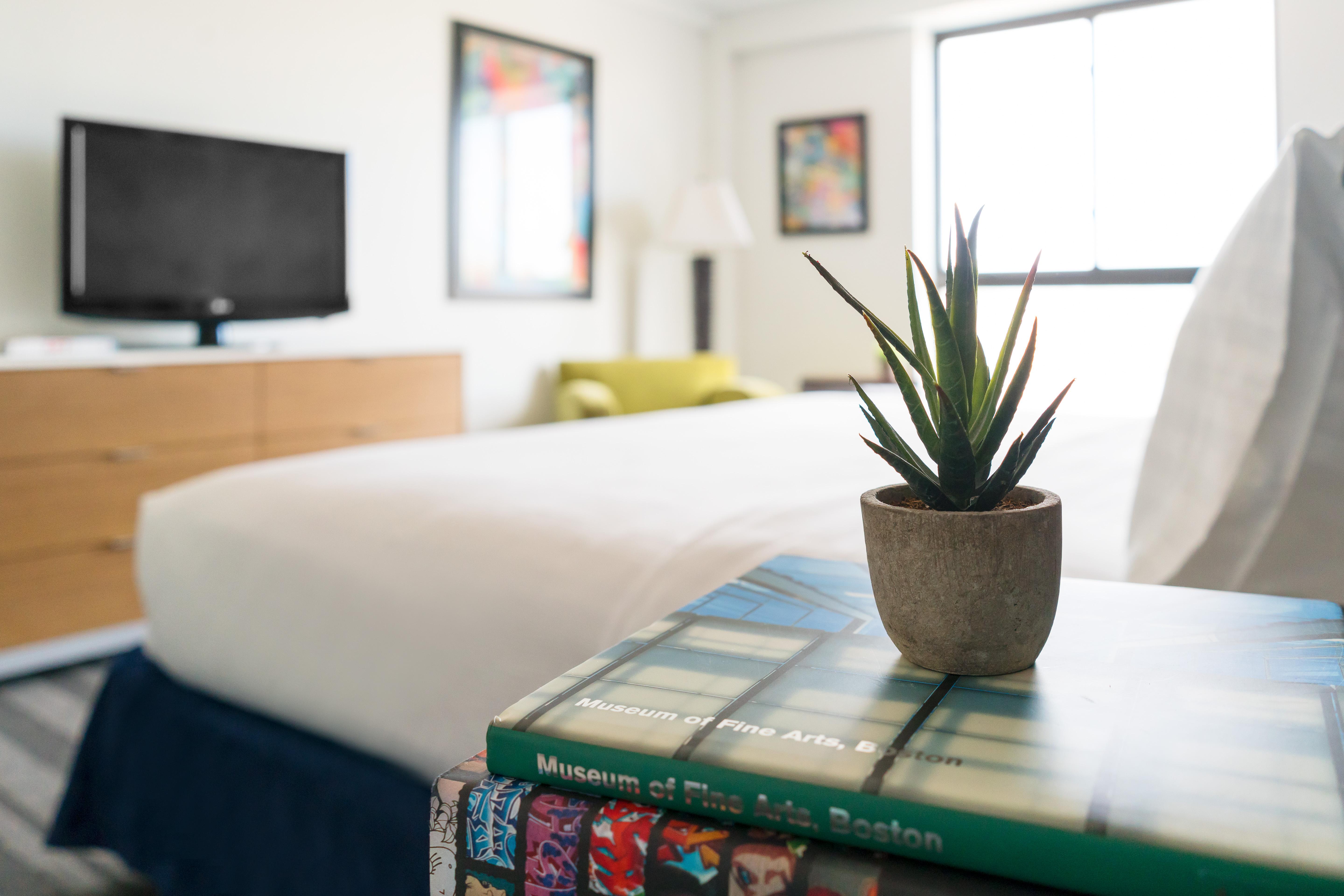 Studio Allston Hotel Boston Kültér fotó